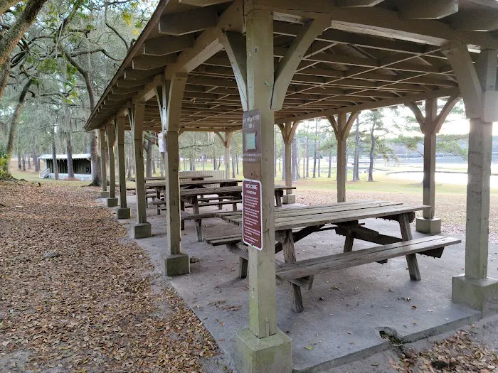 Reed Bingham State Park - Campground Picture 2
