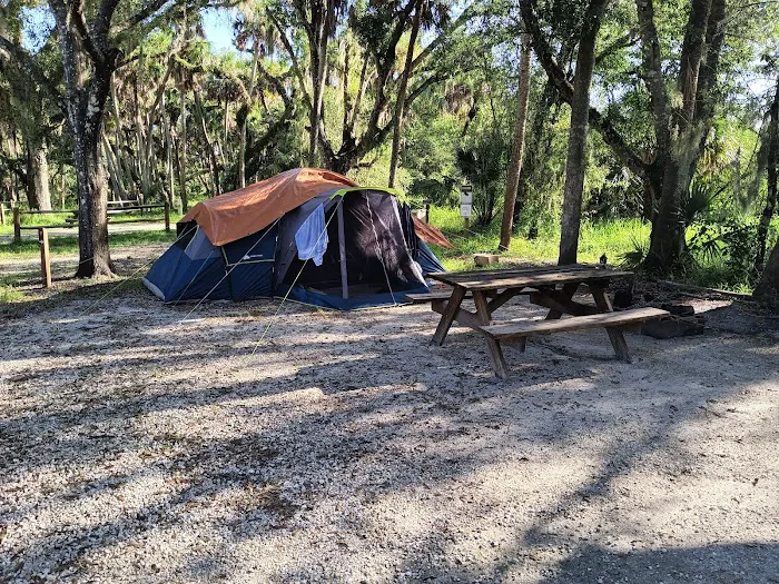 Myakka River State Park Big Flats Campground Picture 6