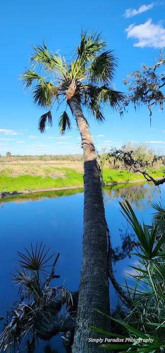 Myakka River State Park Big Flats Campground Picture 4