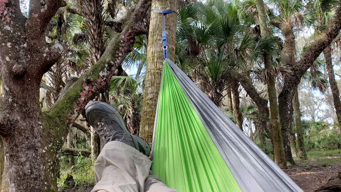 Mossy Hammock Primative Campsite Picture 1