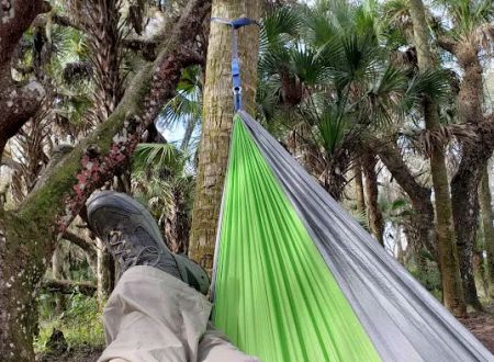 Mossy Hammock Primative Campsite