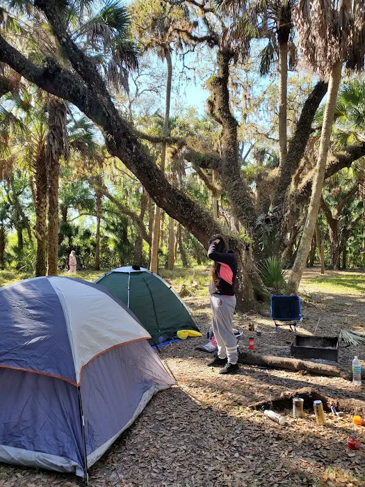 Mossy Hammock Primative Campsite Picture 7