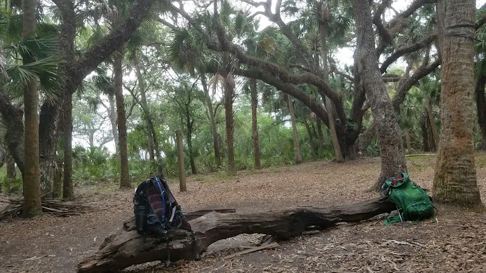 Mossy Hammock Primative Campsite Picture 8