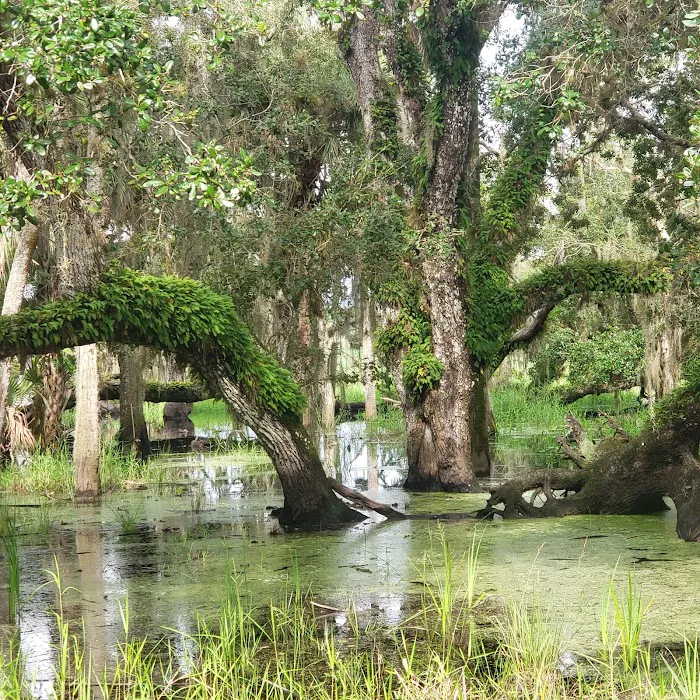 Palmetto Ridge Campground Picture 1