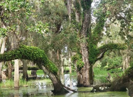 Palmetto Ridge Campground