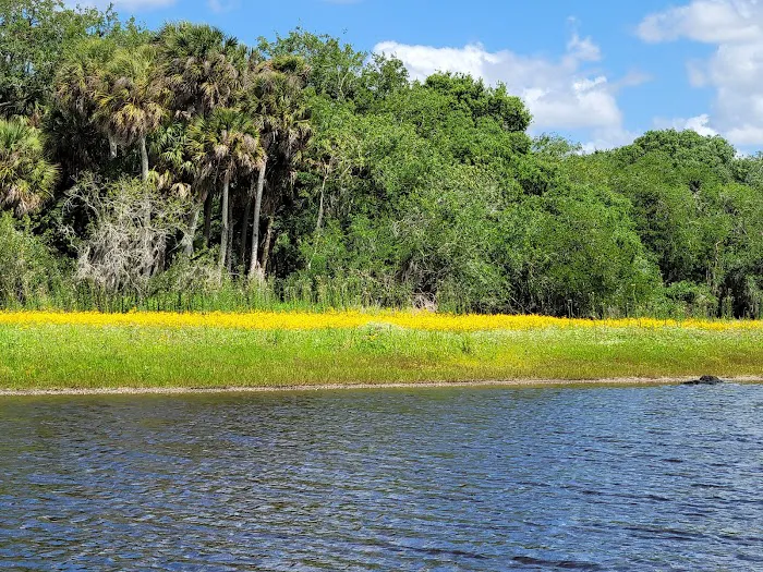 Palmetto Ridge Campground Picture 6