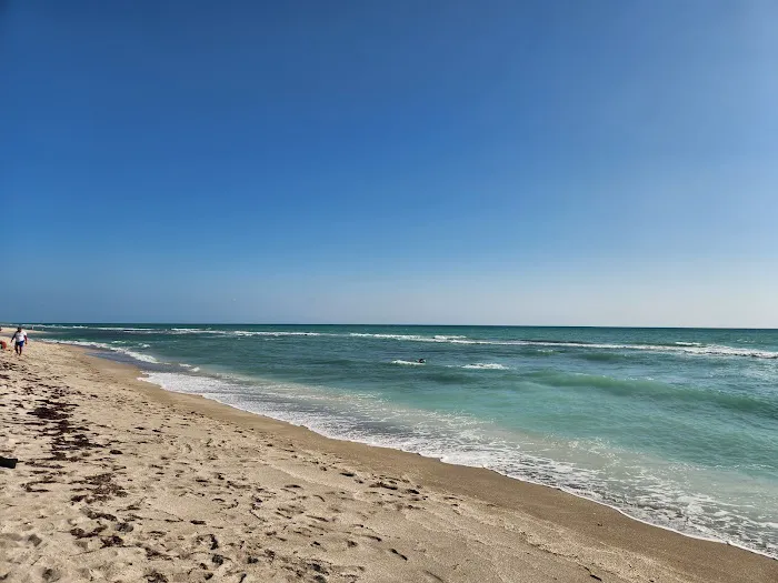 Turtle Beach Campground Picture 4