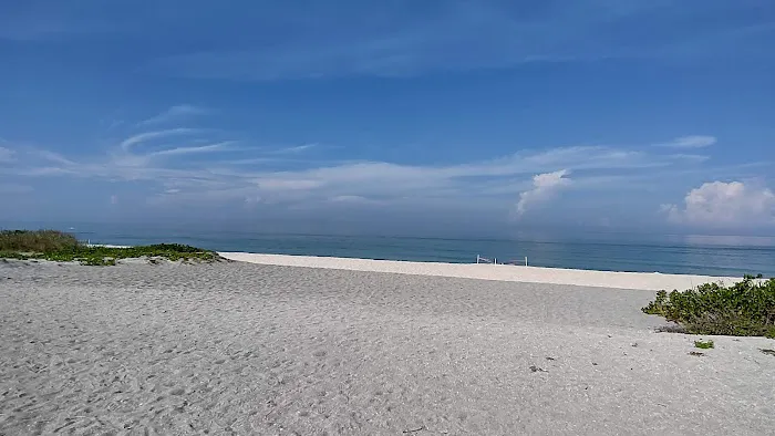 Turtle Beach Campground Picture 5