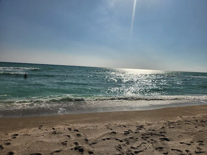 Turtle Beach Campground Picture 3