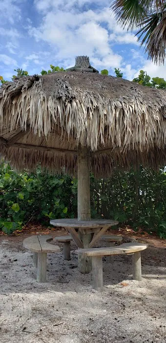 Turtle Beach Campground Picture 1