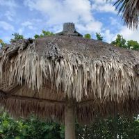 Turtle Beach Campground ico