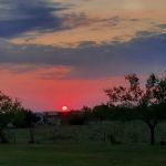 The Retreat at Bluebonnet Ridge