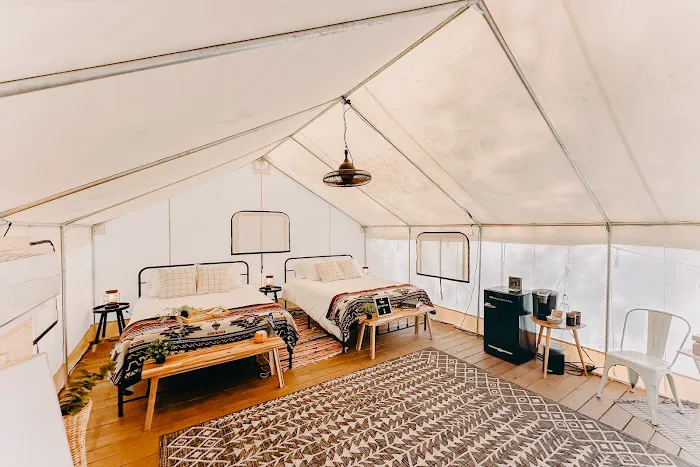 Timberline Glamping Sarasota Picture 2