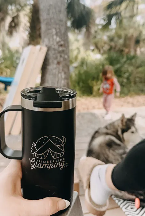 Timberline Glamping Sarasota Picture 3