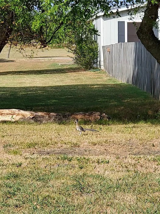 Bluebonnet Ridge RV Park Picture 3