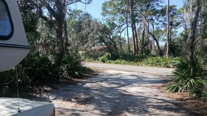 Oscar Scherer State Park Campground Picture 3