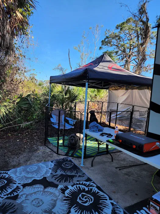Oscar Scherer State Park Campground Picture 7
