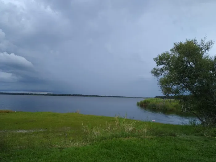 Myakka River State Park Campfire Circle Picture 3