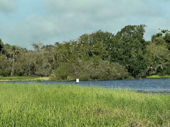 Myakka River State Park Campfire Circle Picture 2