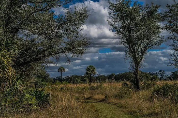 Myakka River State Park Youth Camp Picture 5