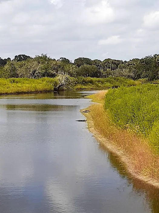 Myakka River State Park Youth Camp Picture 3