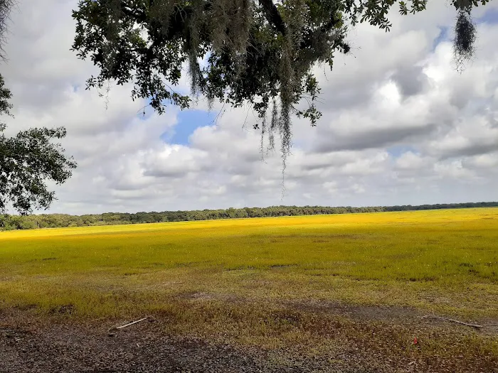 Myakka River State Park Youth Camp Picture 2