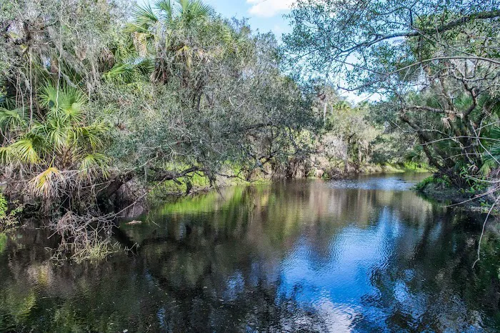 Myakka River State Park Youth Camp Picture 6