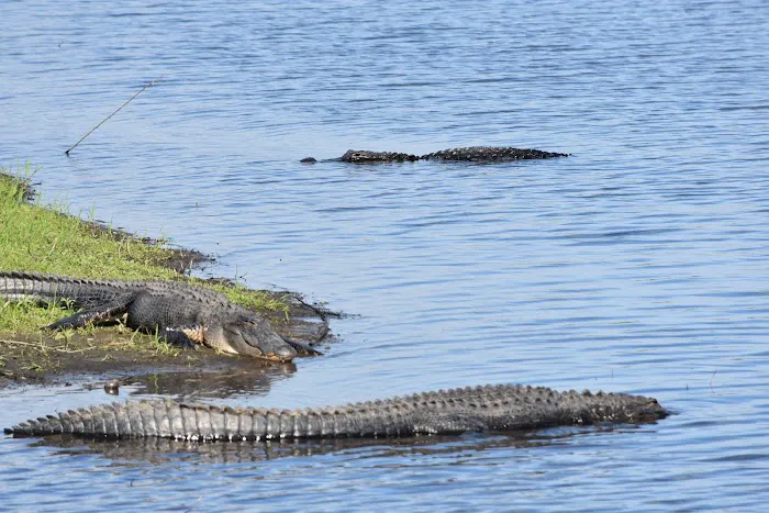 Myakka River State Park Youth Camp Picture 1
