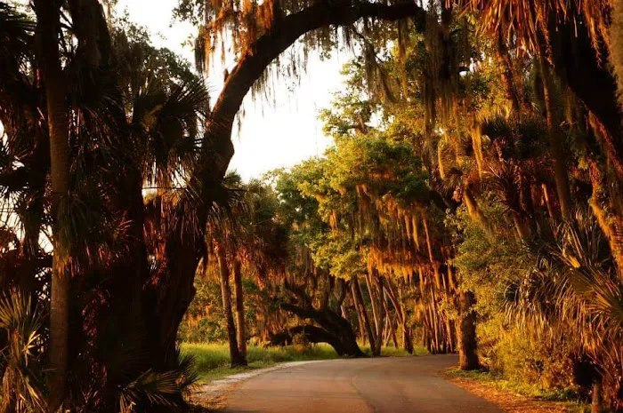 Myakka River State Park Youth Camp Picture 7