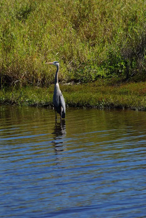 Myakka River State Park Youth Camp Picture 9