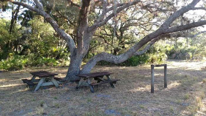 Myakka River State Park Horse Camp Picture 5