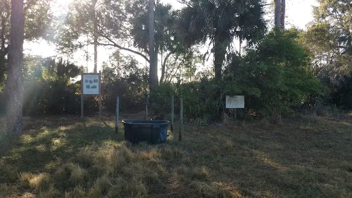 Myakka River State Park Horse Camp Picture 2
