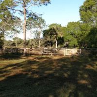 Myakka River State Park Horse Camp ico