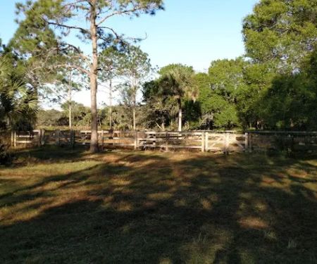 Myakka River State Park Horse Camp
