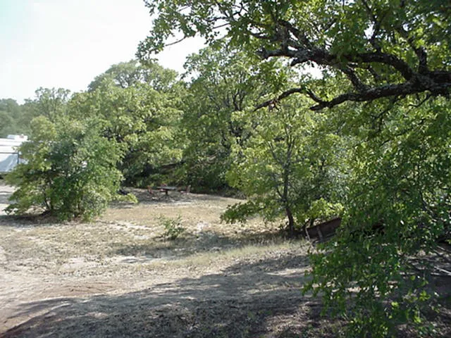 River N Lakes RV Park Picture 3