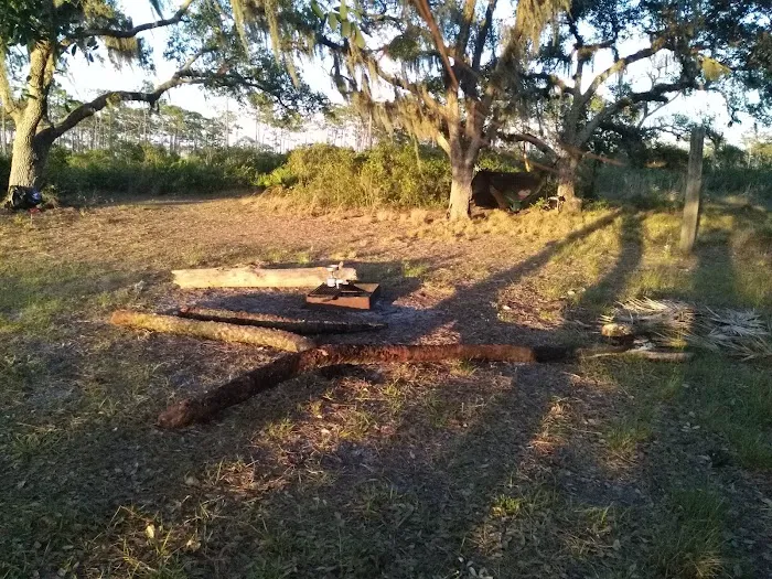 Bee Island Primitive Campsite Picture 1