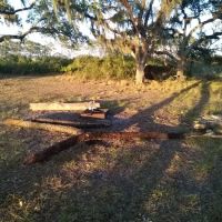 Bee Island Primitive Campsite ico