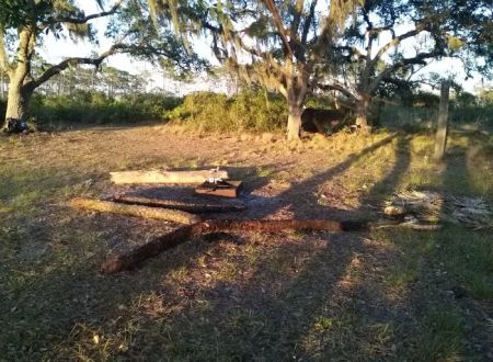 Bee Island Primitive Campsite