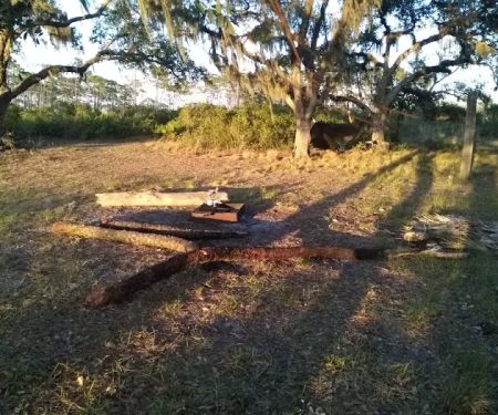 Bee Island Primitive Campsite