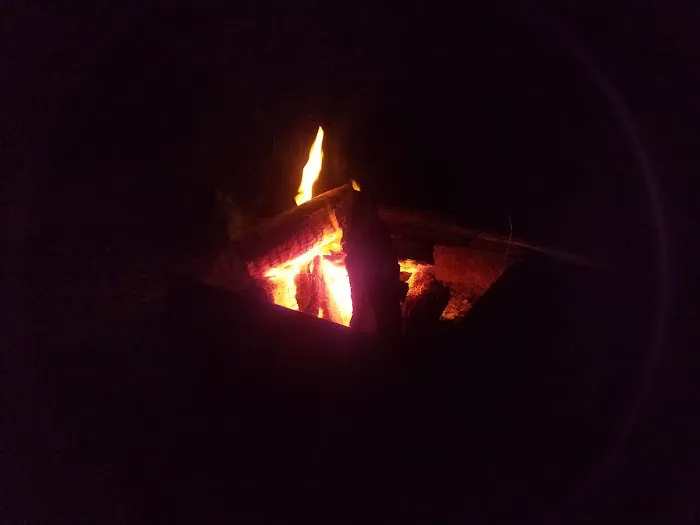 Honore Primitive Campsites Picture 4