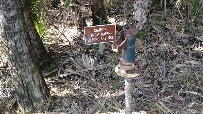 Honore Primitive Campsites Picture 10