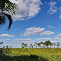 Honore Primitive Campsites ico