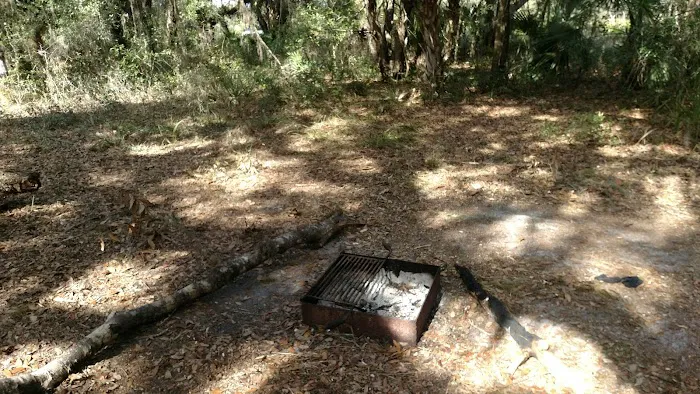 Oak Grove Primitive Campsites Picture 4