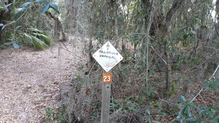 Oak Grove Primitive Campsites Picture 2