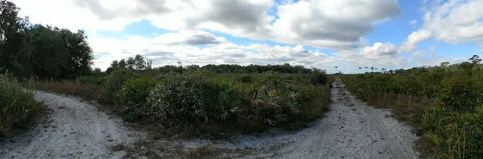 Oak Grove Primitive Campsites Picture 6