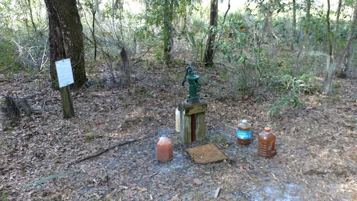Oak Grove Primitive Campsites Picture 5