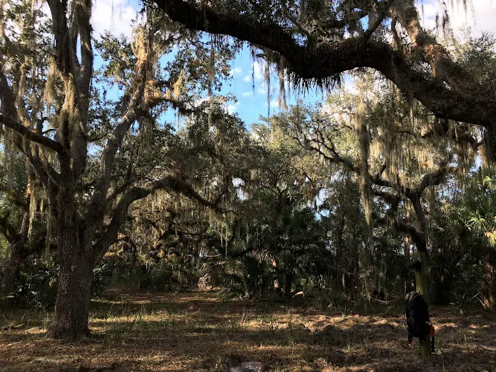 Oak Grove Primitive Campsites Picture 10