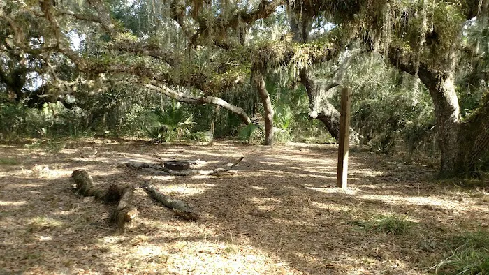 Oak Grove Primitive Campsites Picture 1