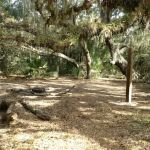 Oak Grove Primitive Campsites