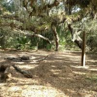 Oak Grove Primitive Campsites ico